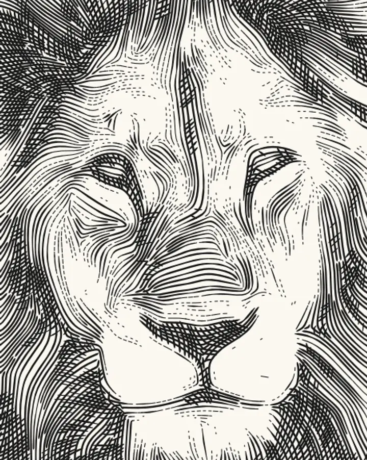 The same face drawn in pen lines for a plotter, in the Engrave style
