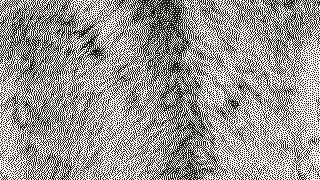 The lion's eyes as a 1-bit, 254 DPI PNG, one pixel per spot.