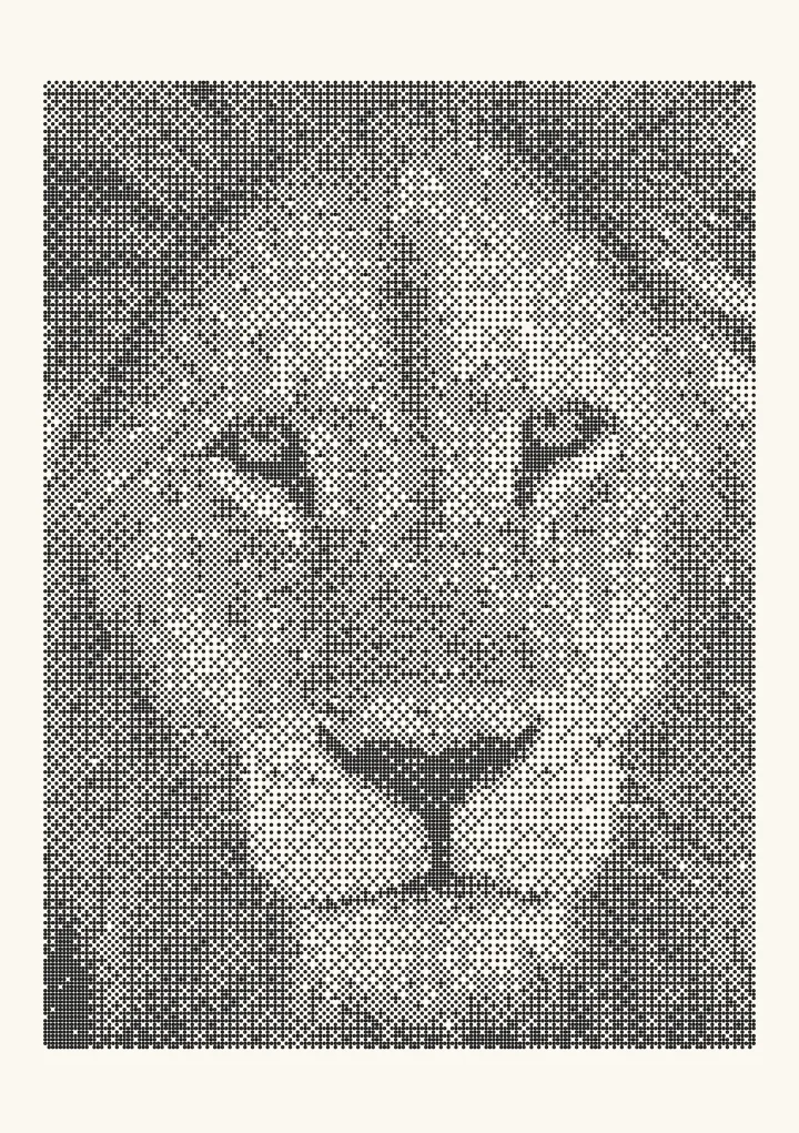 Bayer 16×16 dithering applied to a photo of a lion