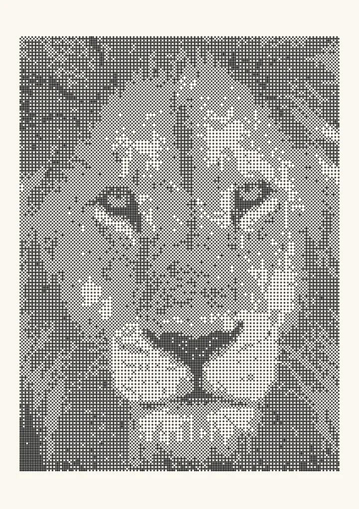 Bayer 2×2 dithering applied to a photo of a lion