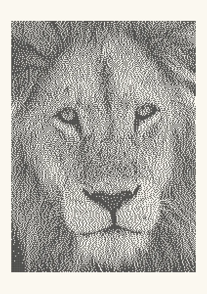 Burkes dithering applied to a photo of a lion