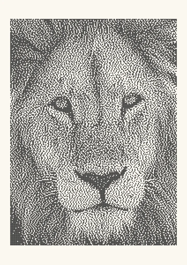 Jarvis–Judice–Ninke dithering applied to a photo of a lion