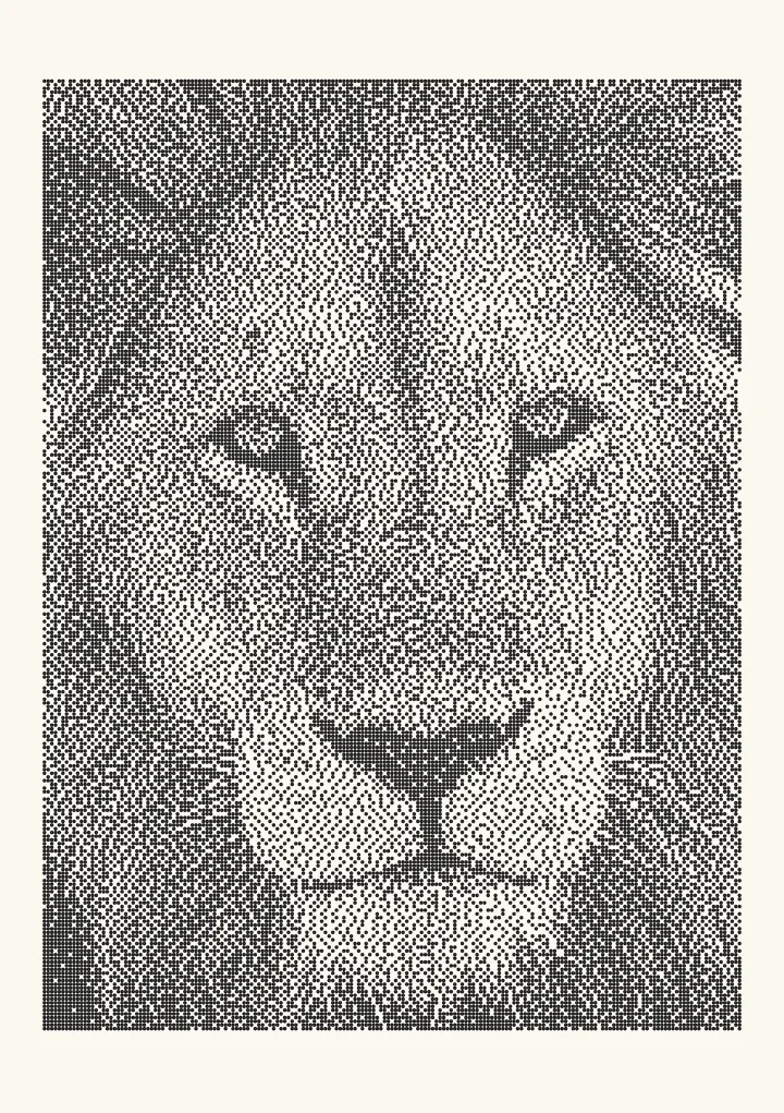 Stucki dithering applied to a photo of a lion