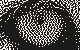 The lion's eye dithered at 127 DPI, 80 by 50 pixels, with large square pixels
