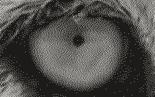 The lion's eye dithered at 508 DPI, 320 by 200 pixels, with fine dots
