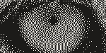 The lion's eye dithered with Floyd–Steinberg at 254 DPI
