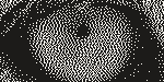 The lion's eye dithered with Jarvis–Judice–Ninke at 254 DPI