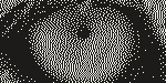 The lion's eye dithered with Ostromoukhov at 254 DPI, an even grain