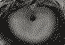 The lion's eye dithered with Ostromoukhov at 254 DPI, 130 × 90 pixels