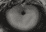 The lion's eye dithered with Ostromoukhov at 318 DPI, 163 × 113 pixels