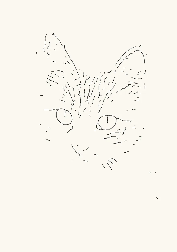 Tabby cat photo turned into a wood burning pattern of single-line outlines