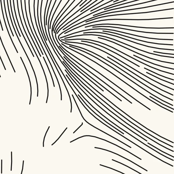 The same close-up of the mane with Flow smoothness at 6 mm, lines sweeping in long calm curves
