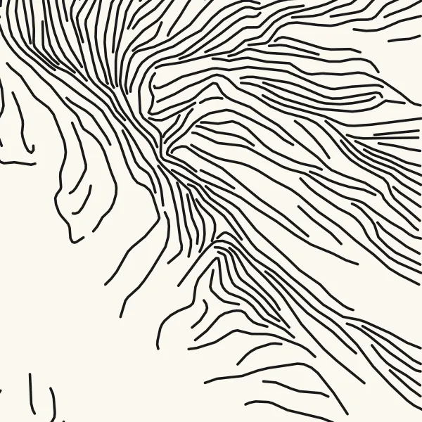 Close-up of Flow lines in the lion's mane with Flow smoothness at 0.8 mm, lines bending with every tuft