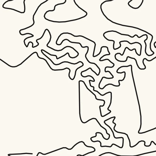 The same close-up with the corners fully rounded into smooth curves