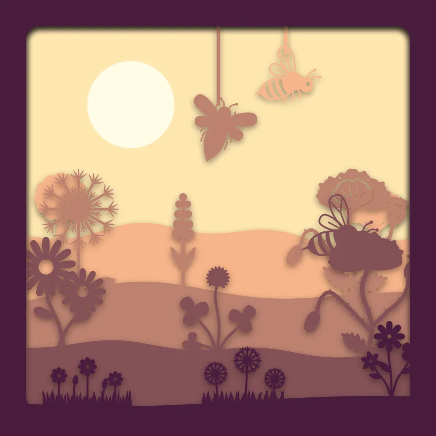 Bee meadow shadow box: 5 layered sheets seen from the front