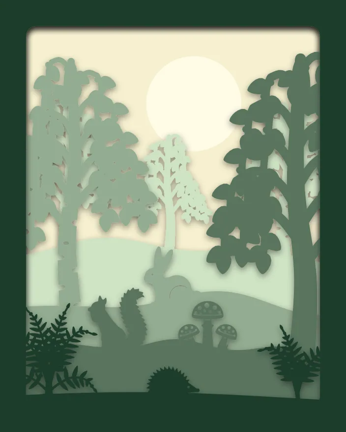 Birch wood shadow box: 5 layered sheets seen from the front