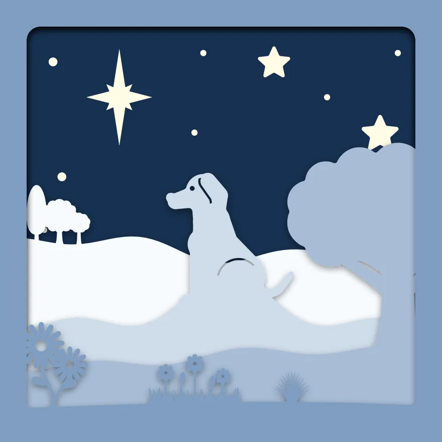 Dog under the stars shadow box: 5 layered sheets seen from the front