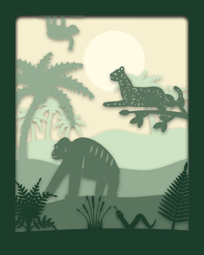 Jungle shadow box: 5 layered sheets seen from the front